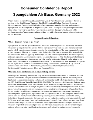 消费者信心报告 Spangdahlem ...